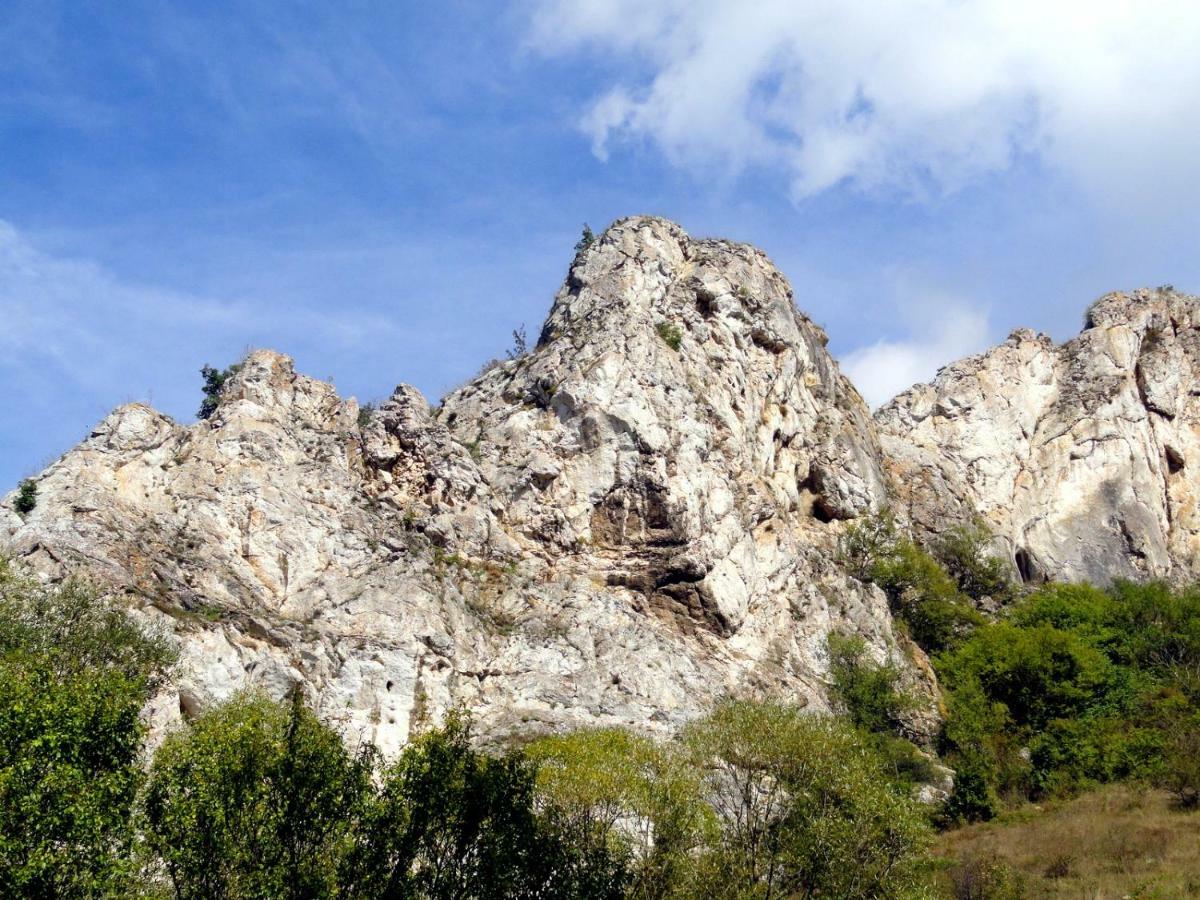 Hotel Aleksievata Kashta Gurgulyat Luaran gambar